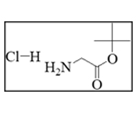 Structure 19